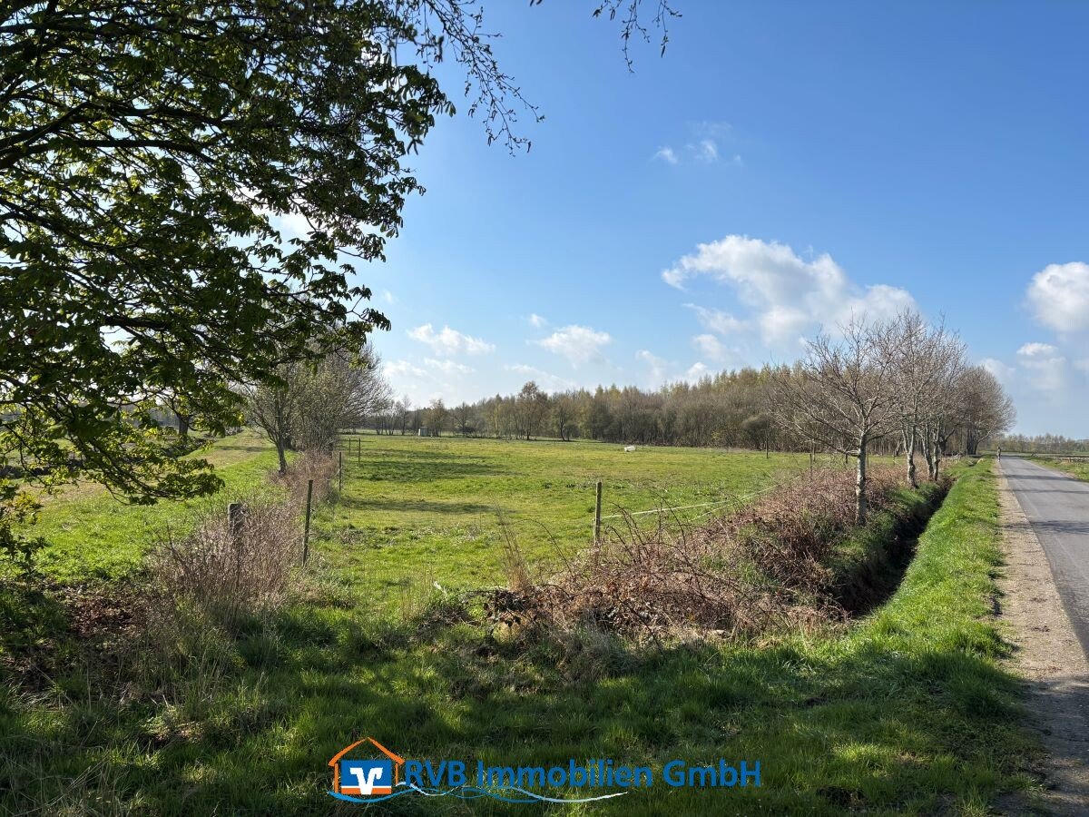 Großefehn: Grünland 