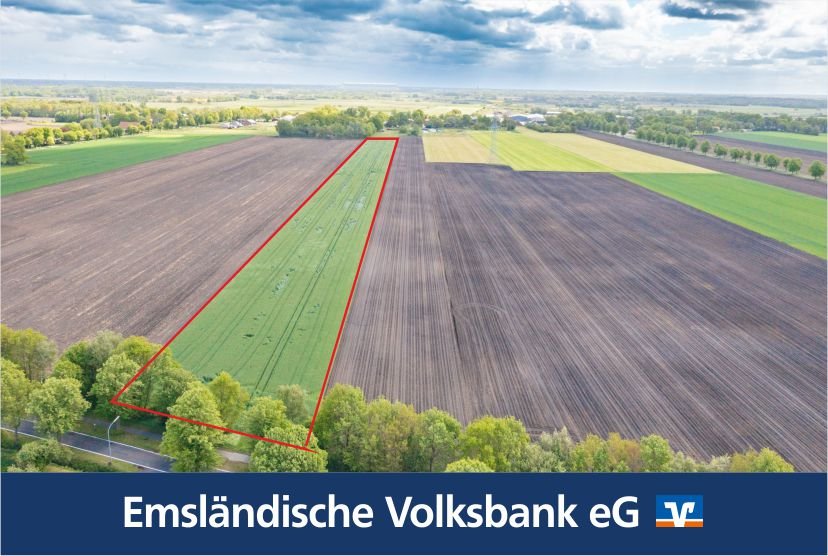 Rhede: Rd. 2,7 Hektar Ackerland in Rhede -Brual zu verkaufen 