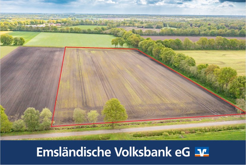 Rhede: Rd. 3,06 Hektar Ackerland in Rhede -Brual zu verkaufen Rhede: Rd. 3,06 Hektar Ackerland in Rhede -Brual zu verkaufen