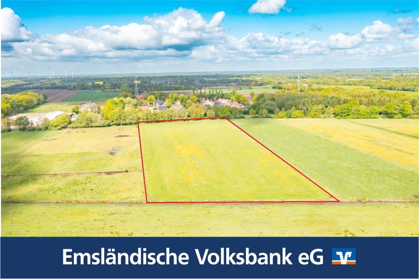 Rhede: Rd. 2,7 Hektar Grünland in Rhede -Brual zu verkaufen Rhede: Rd. 2,7 Hektar Grünland in Rhede -Brual zu verkaufen