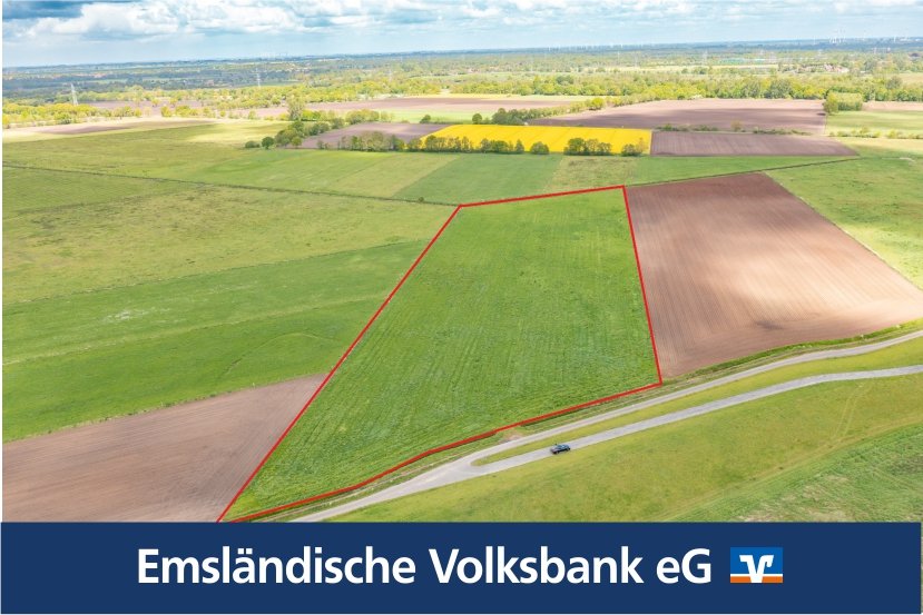 Rhede: Rd. 3 Hektar Grünland in Rhede -Brual zum Kauf Rhede: Rd. 3 Hektar Grünland in Rhede -Brual zum Kauf