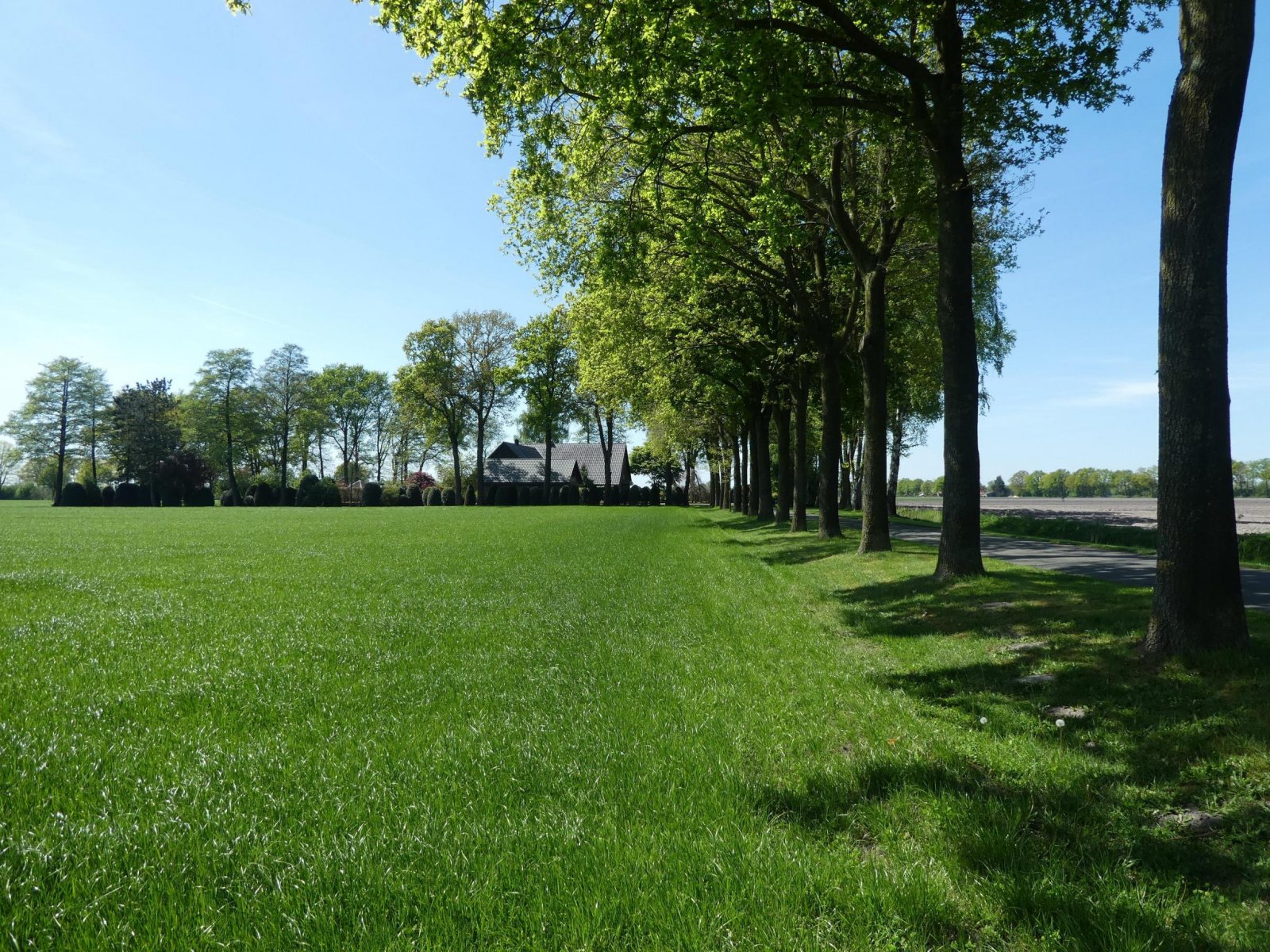 Straßensicht