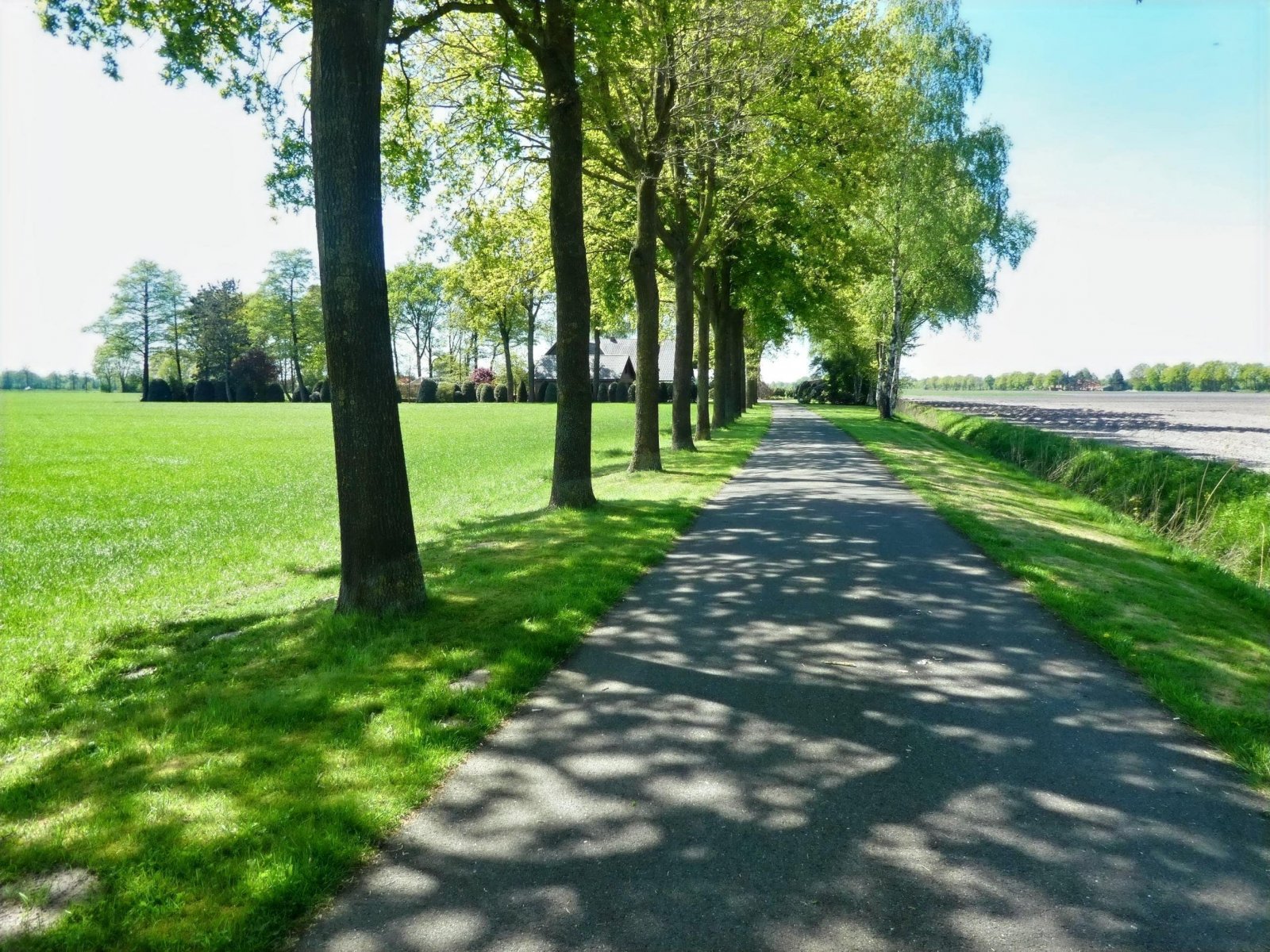 Zufahrt