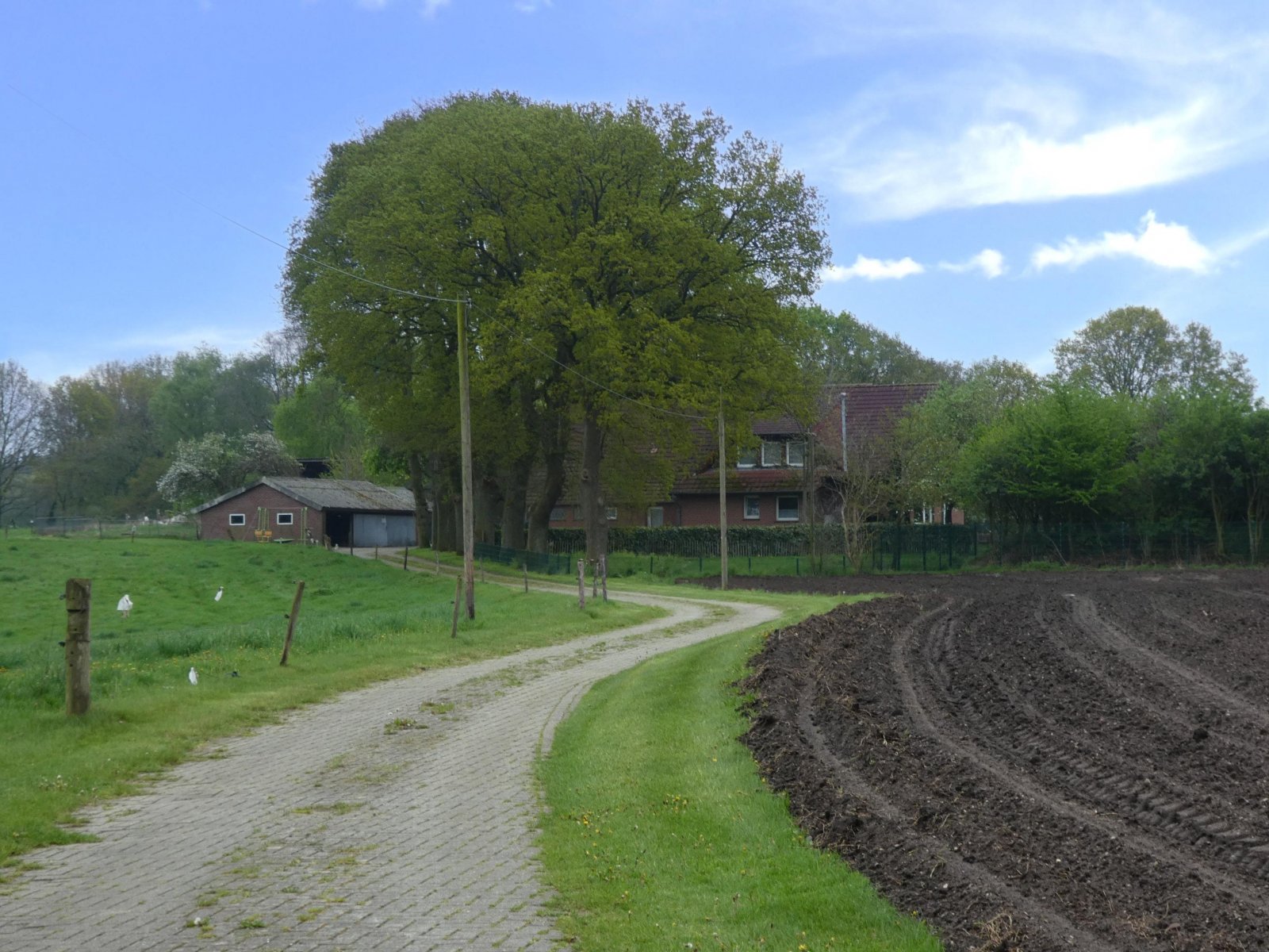 Blick auf den Resthof