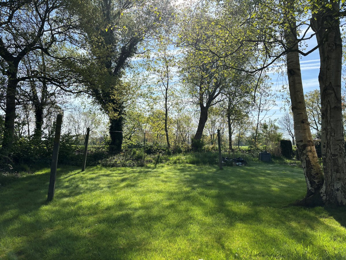Blick in den Garten