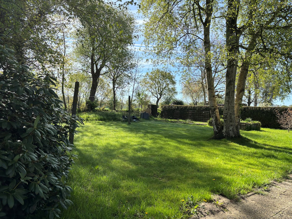 Blick in den grünen Garten