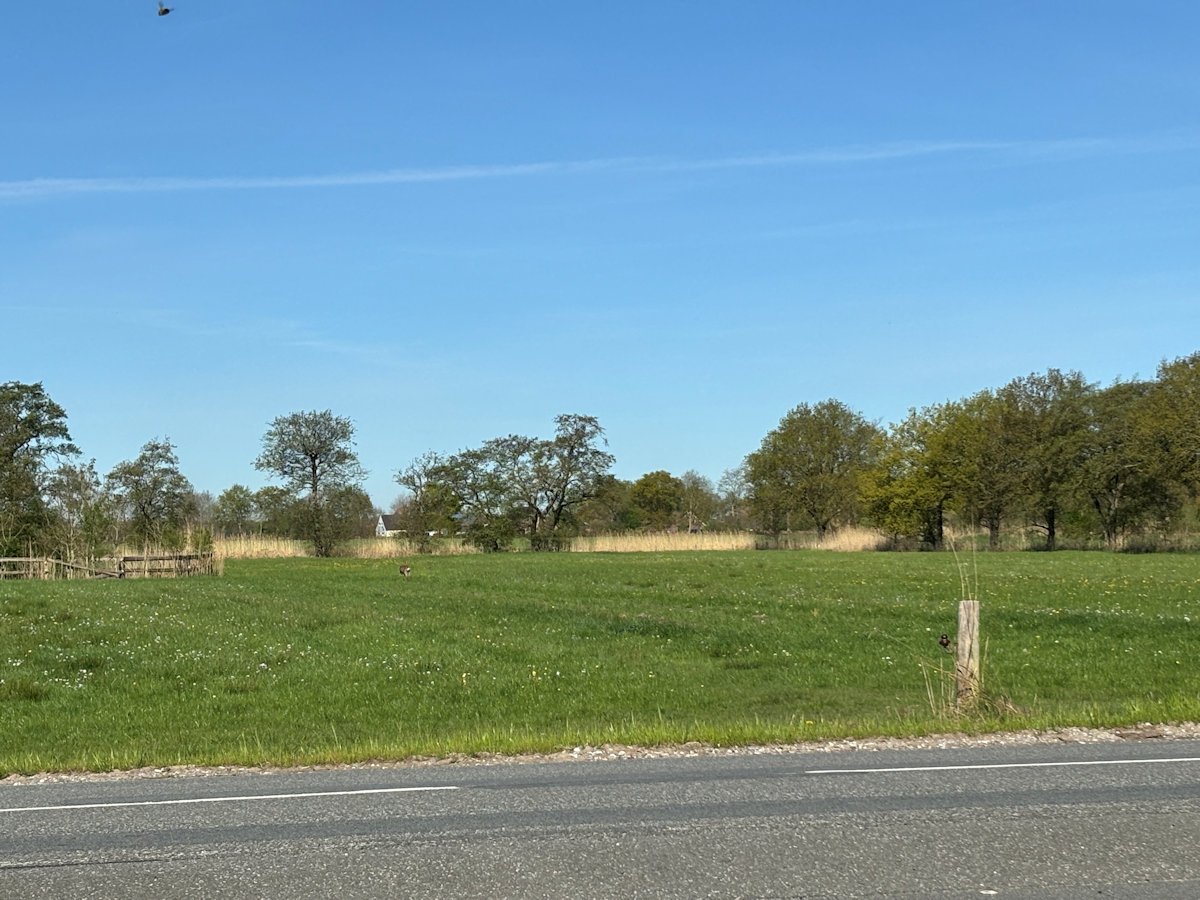 gegenüberliegende Straßenseite