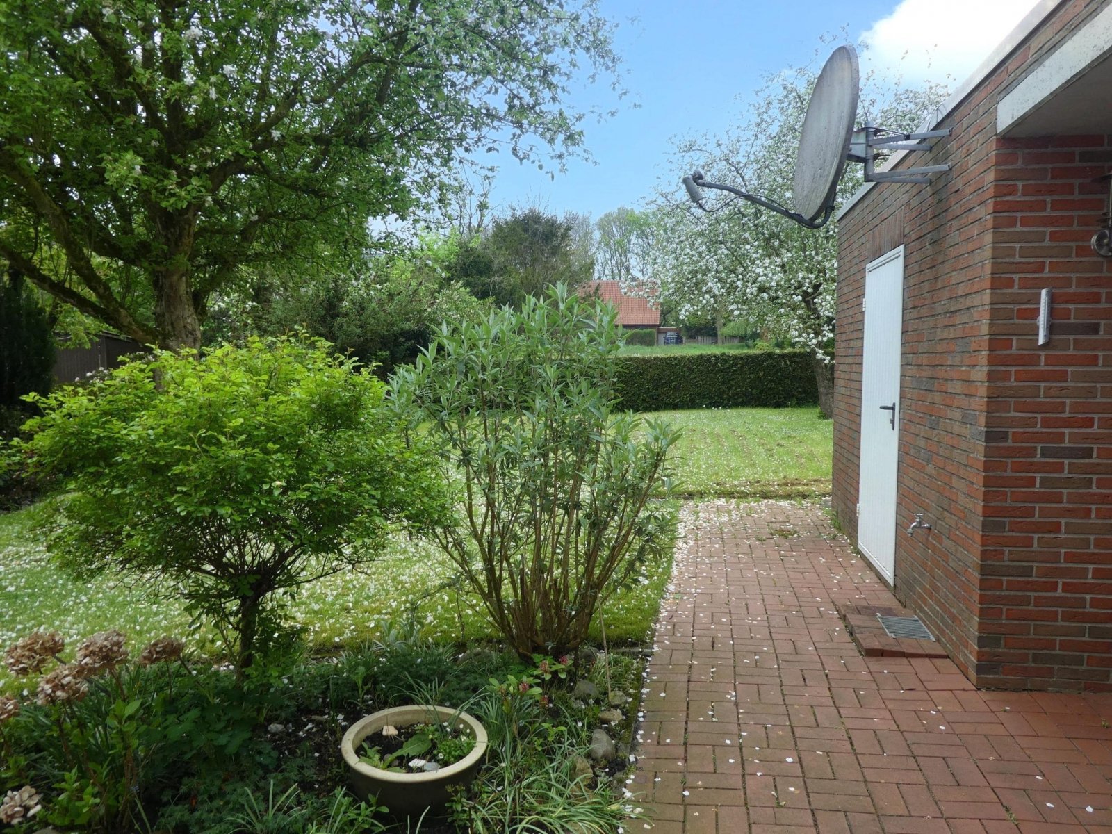 Blick in den Garten