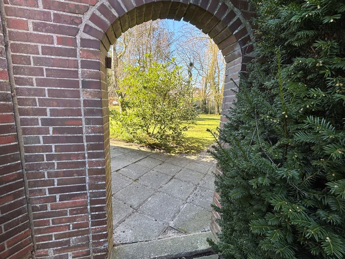 Blick in den Garten