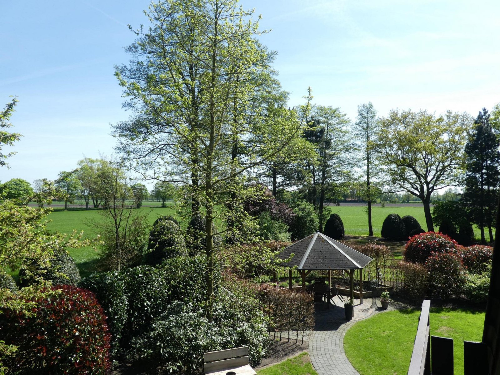 Blick in den Garten
