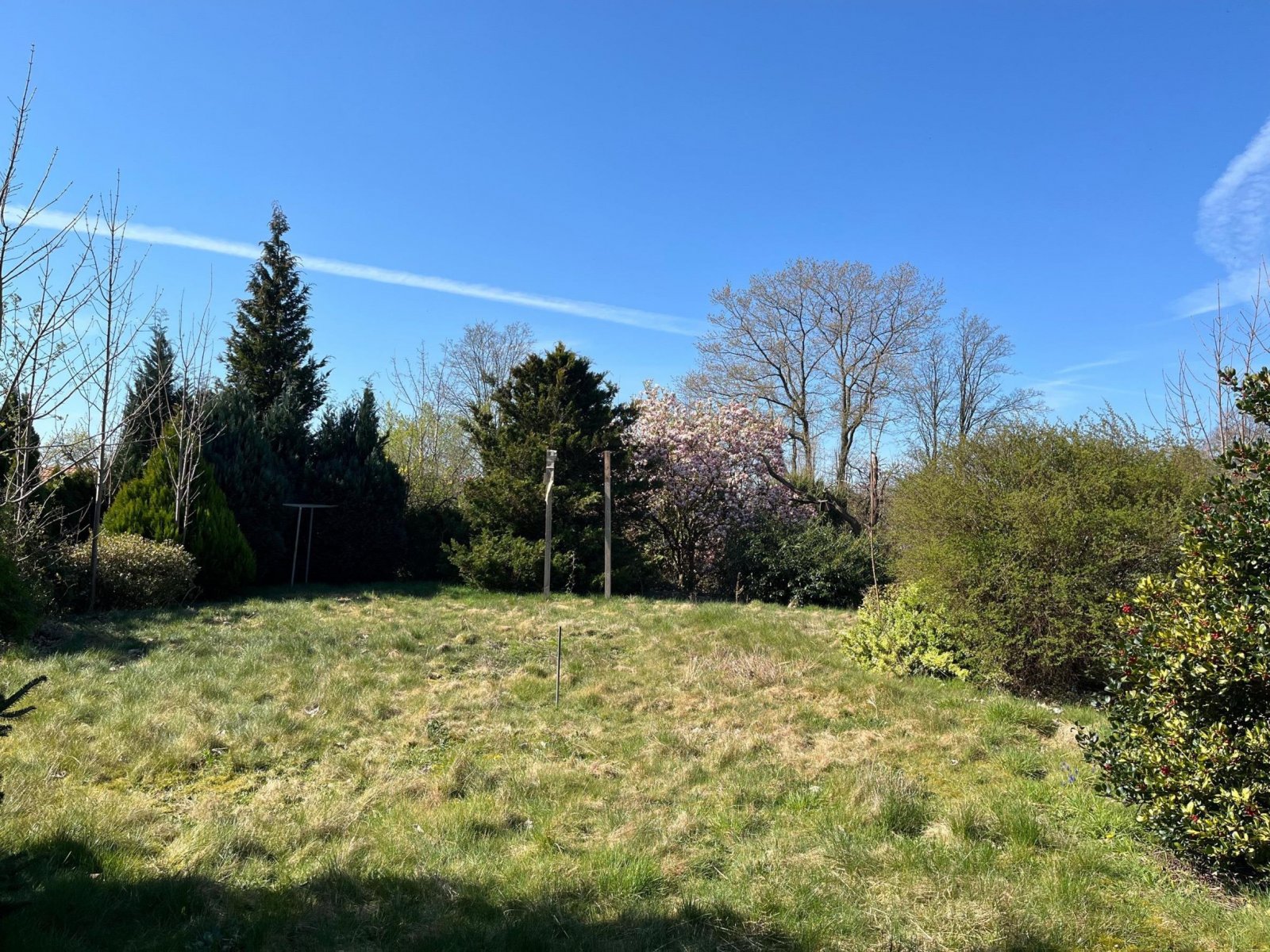 Blick in den Garten