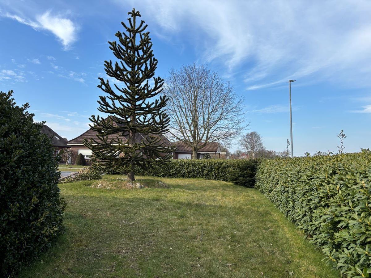 vorderer Gartenbereich