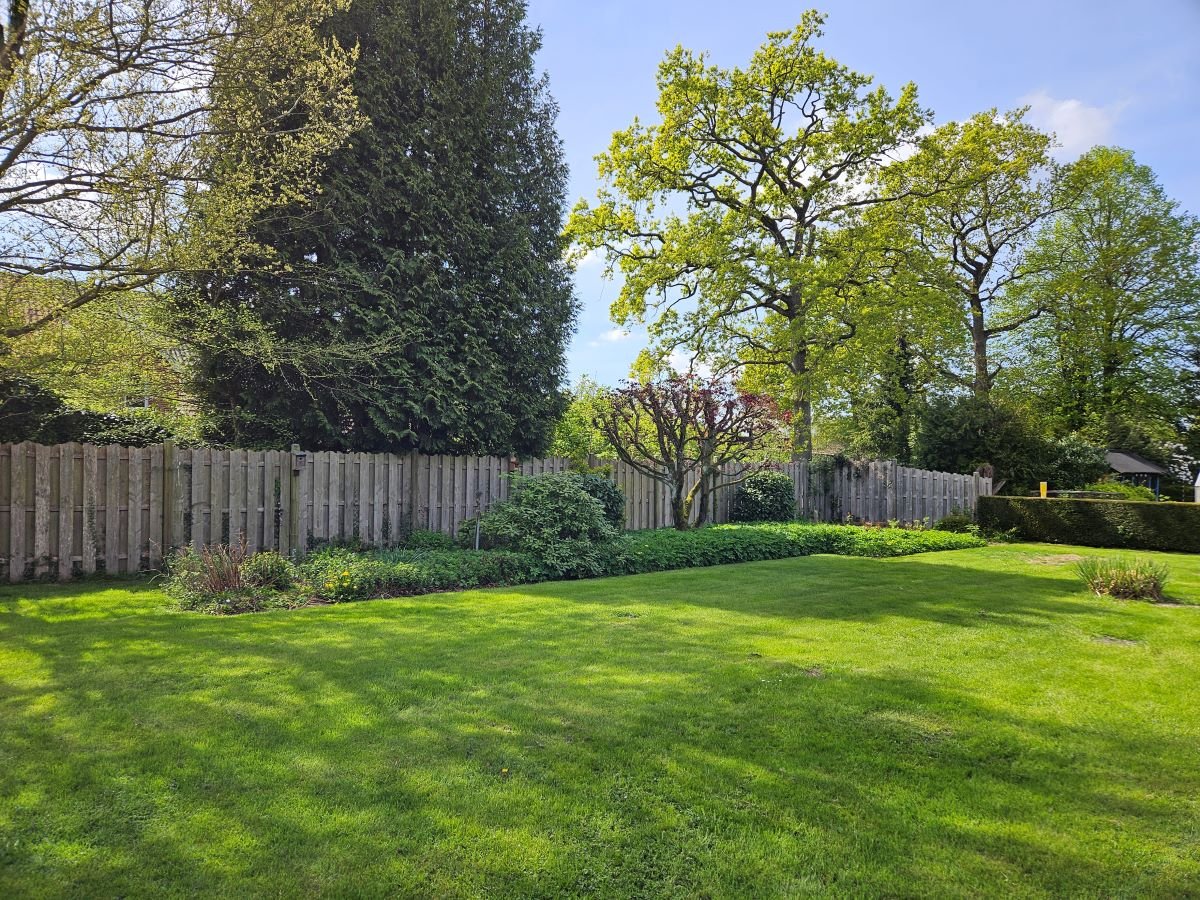 Blick in den Garten 
