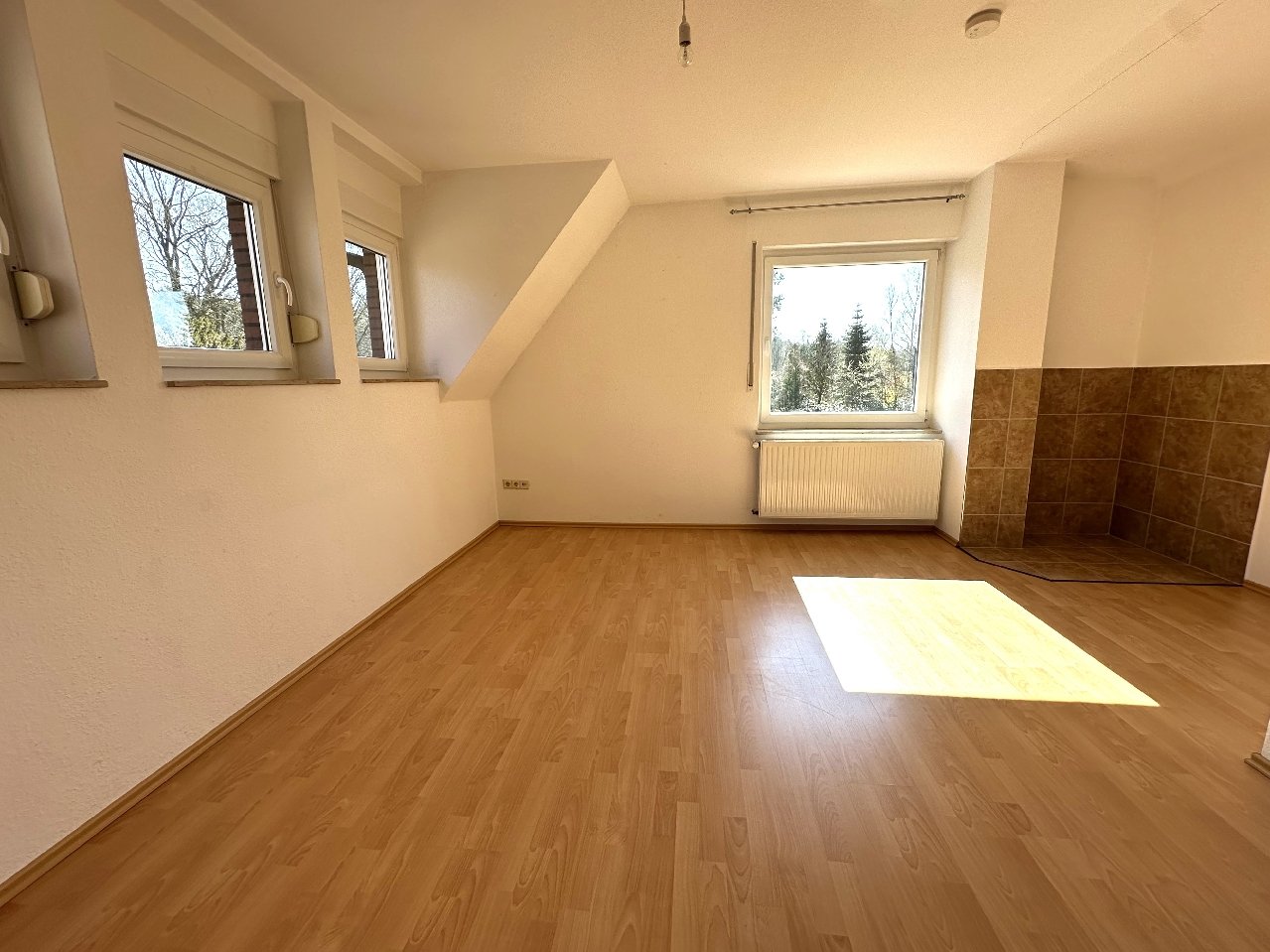 Wohnzimmer Dachgeschoss