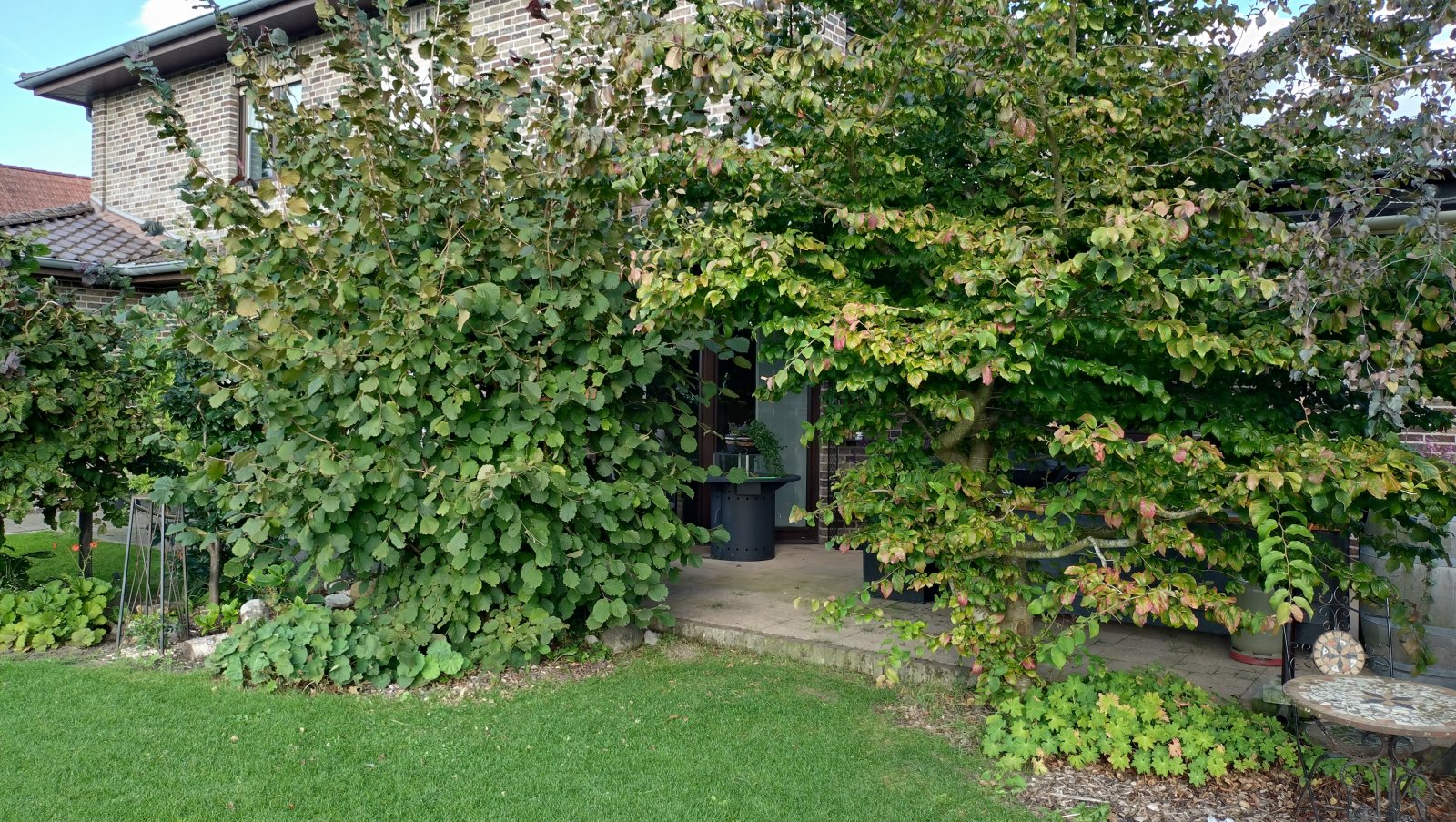 Garten