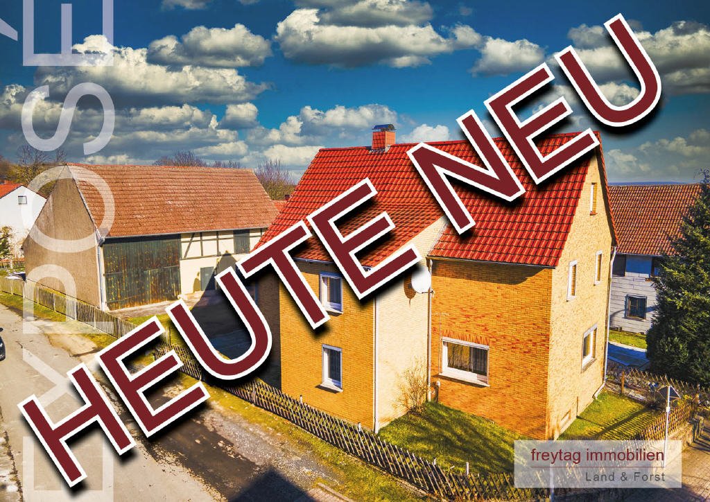 Bild1