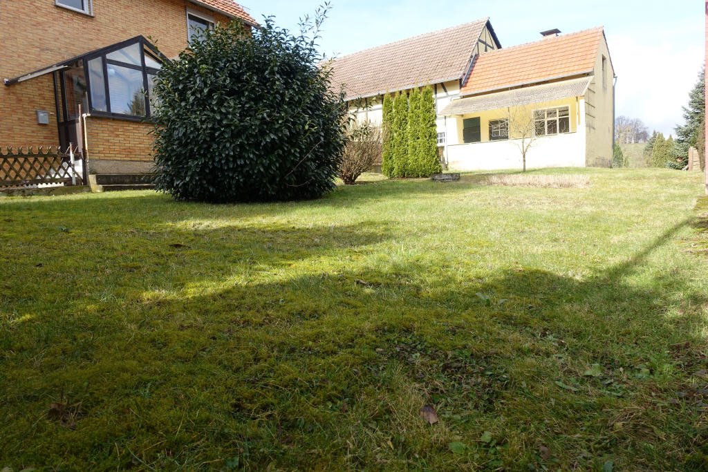 Bild7