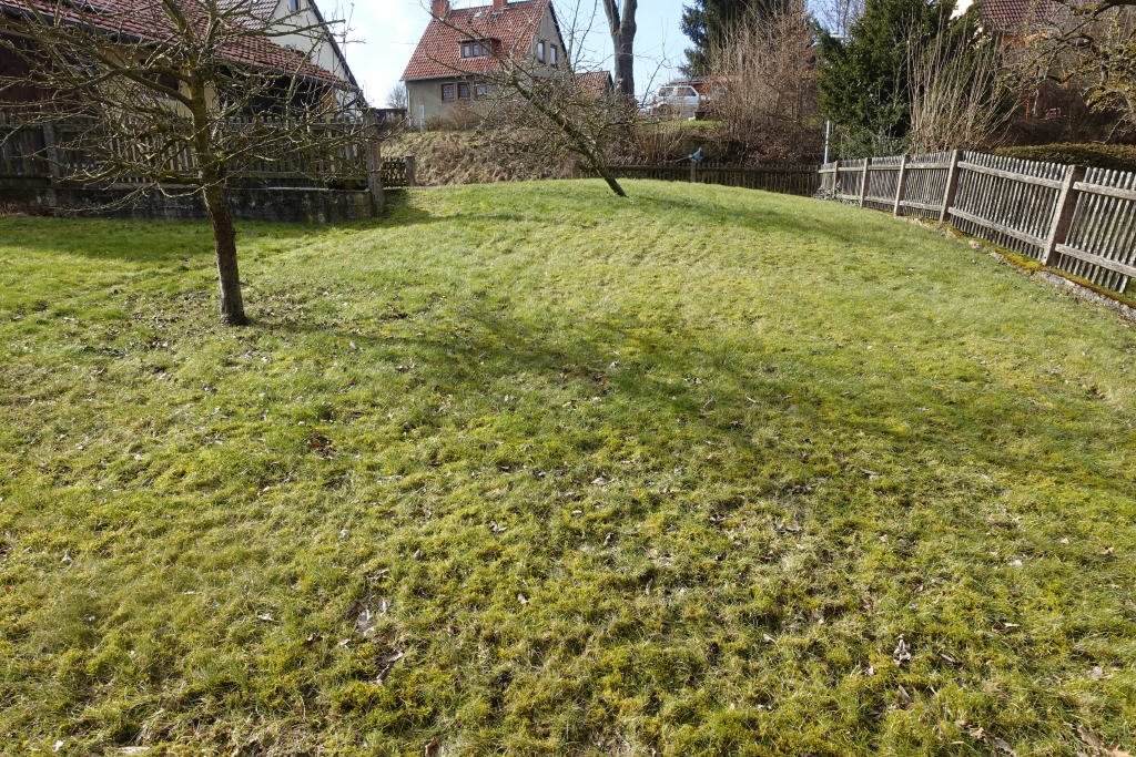 Bild11