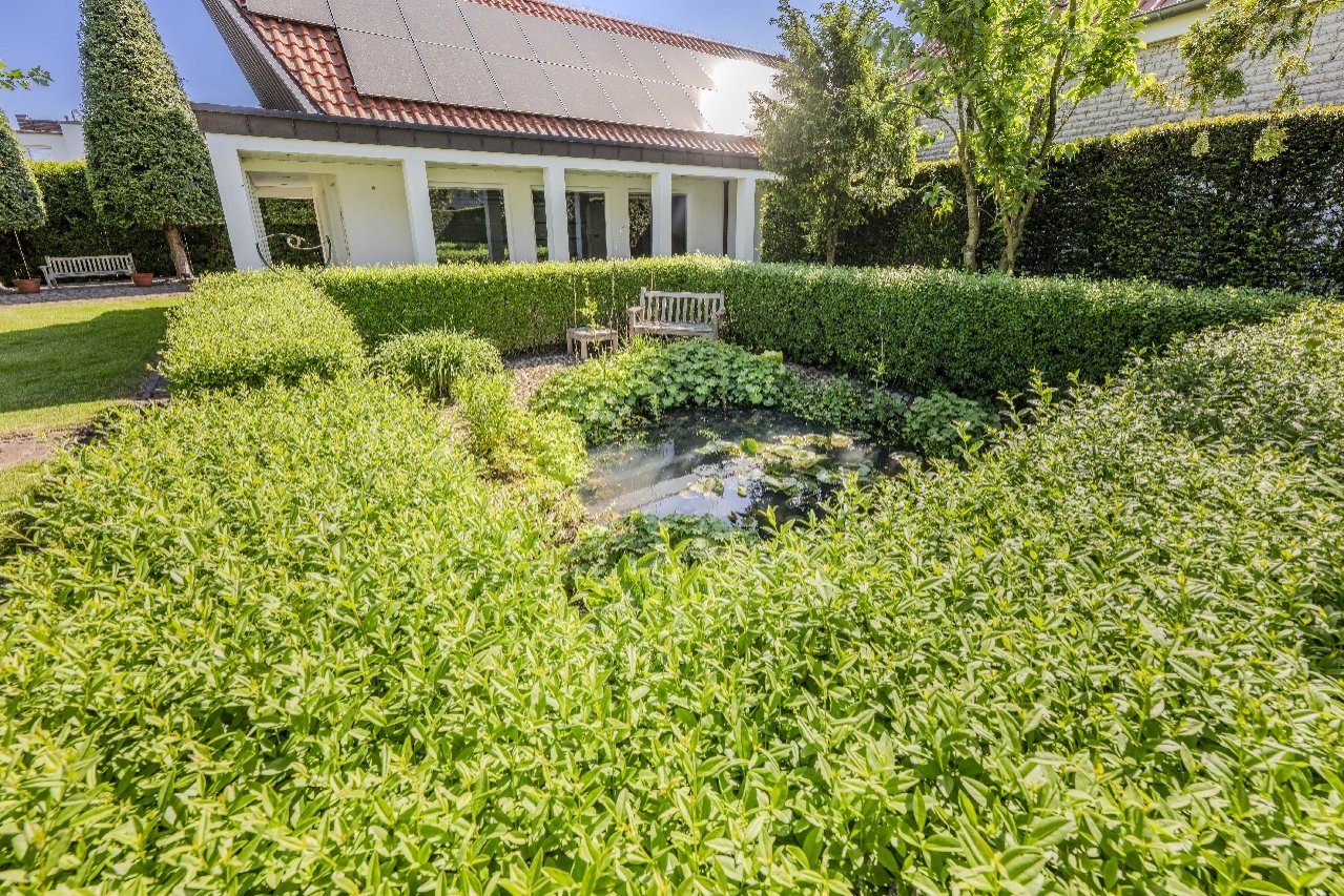 Gartenteich