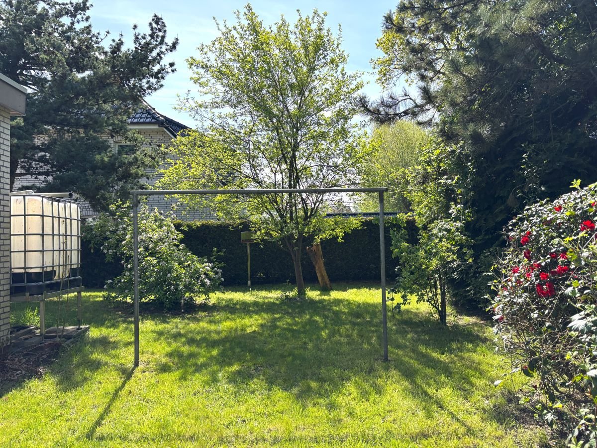 toller grüner Garten