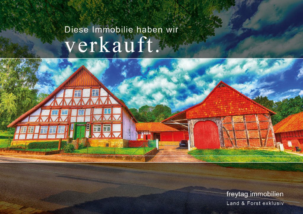 Bild1