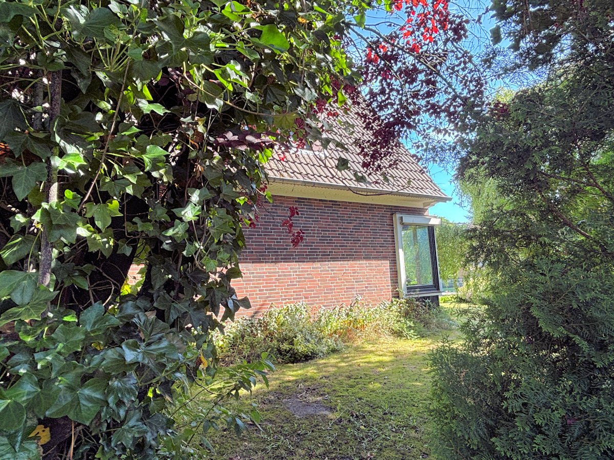 Seitenansicht