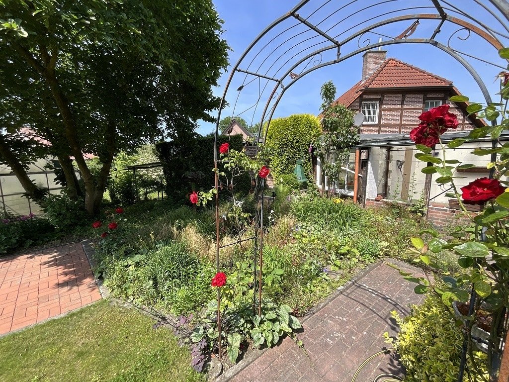 Blick in den Garten