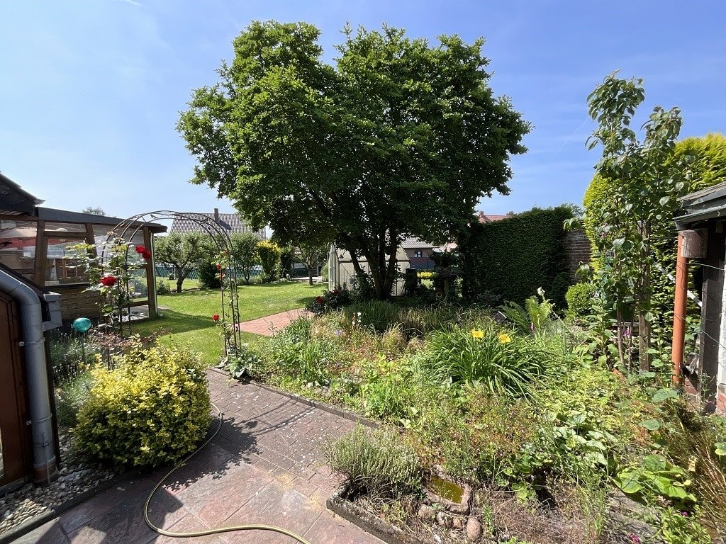 Blick in den Garten