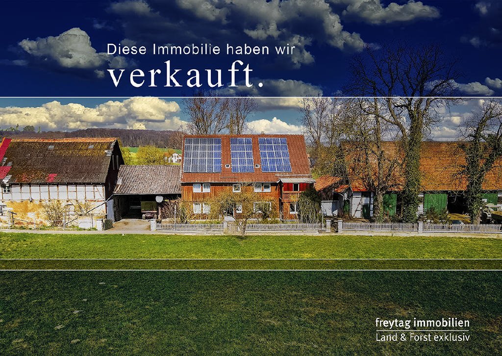 Bild1