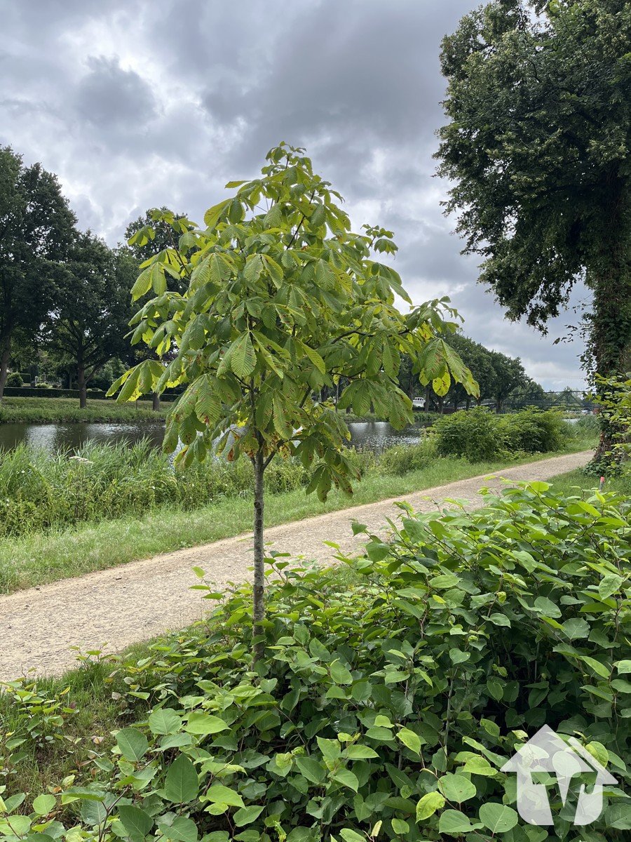 Kanal