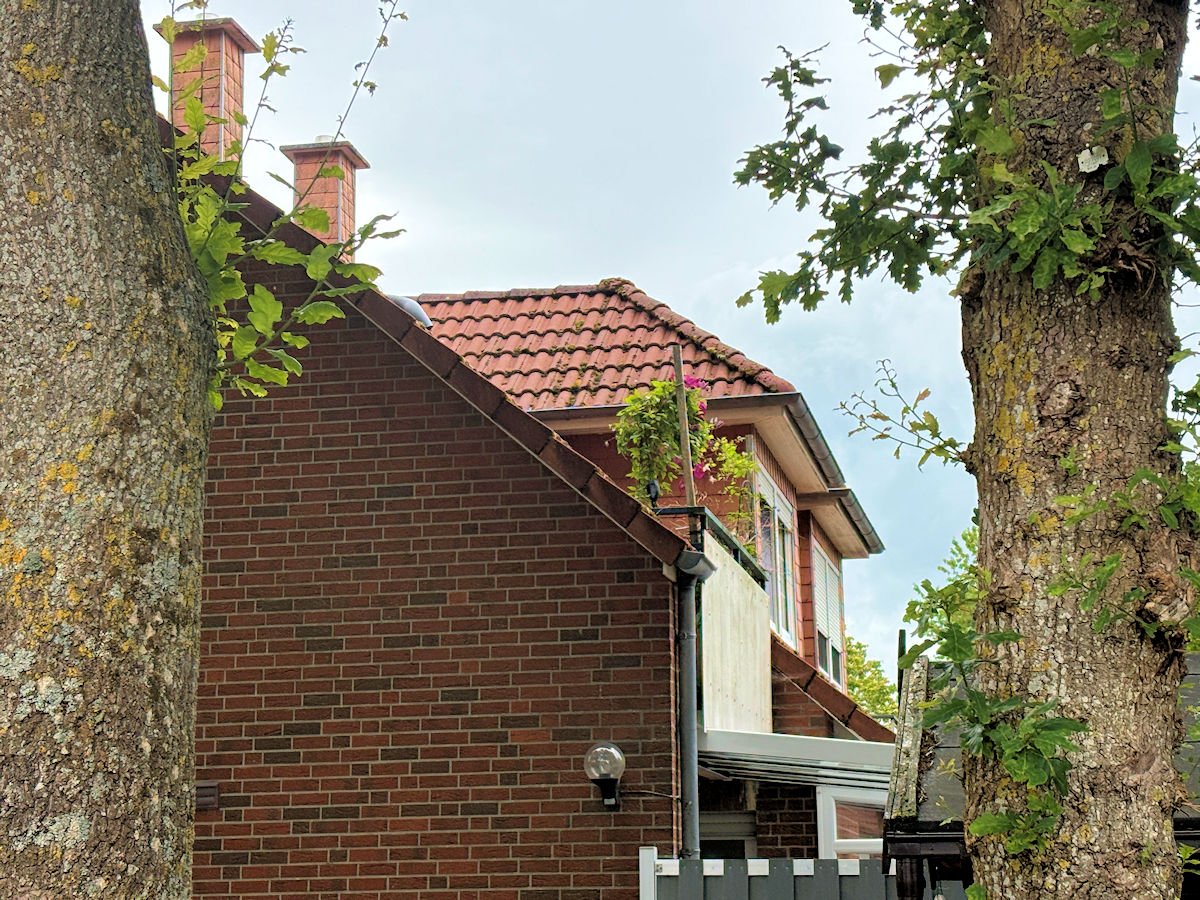 grünes Umfeld mitten im Ort