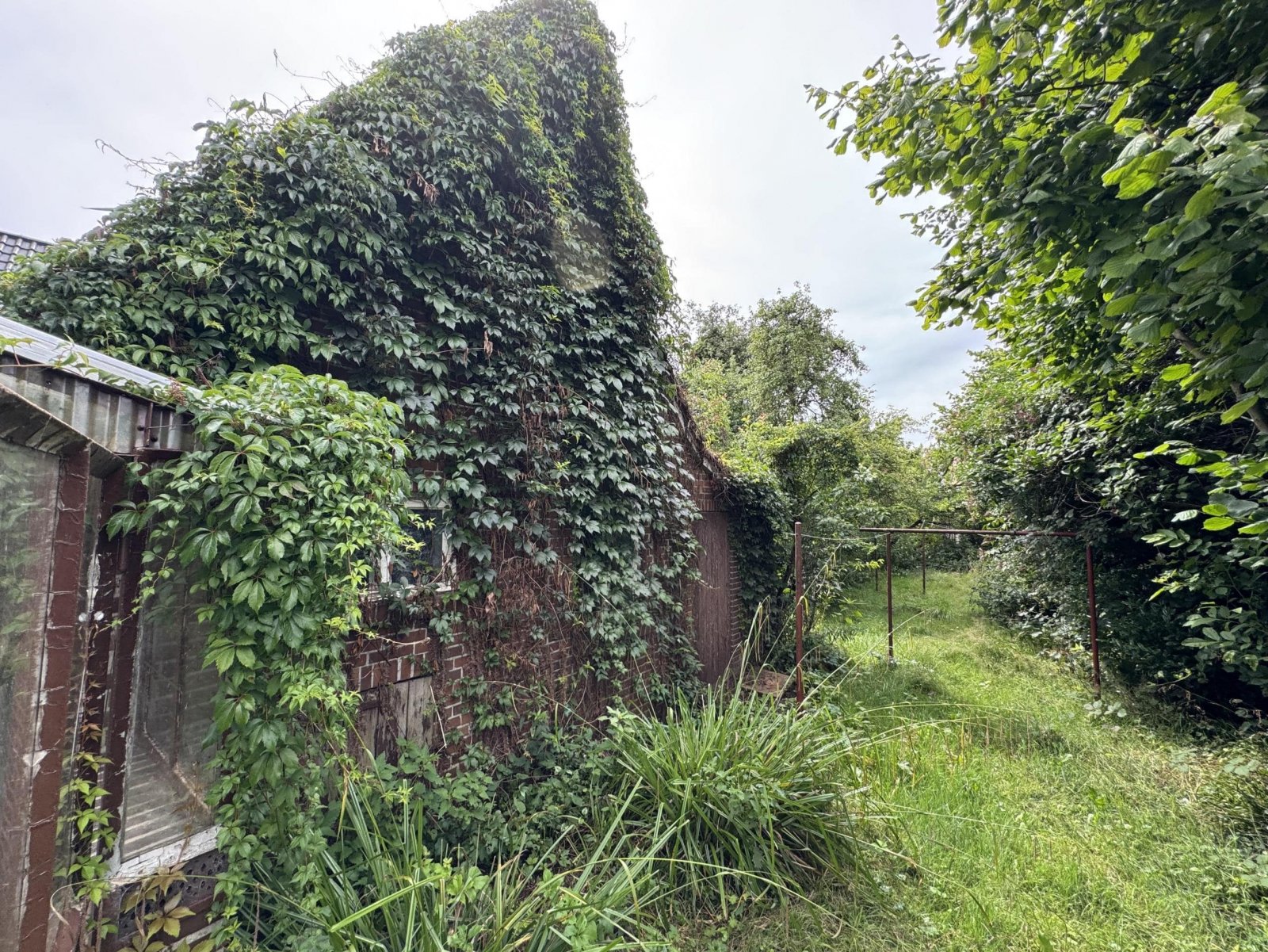 Garten (zugewachsen)