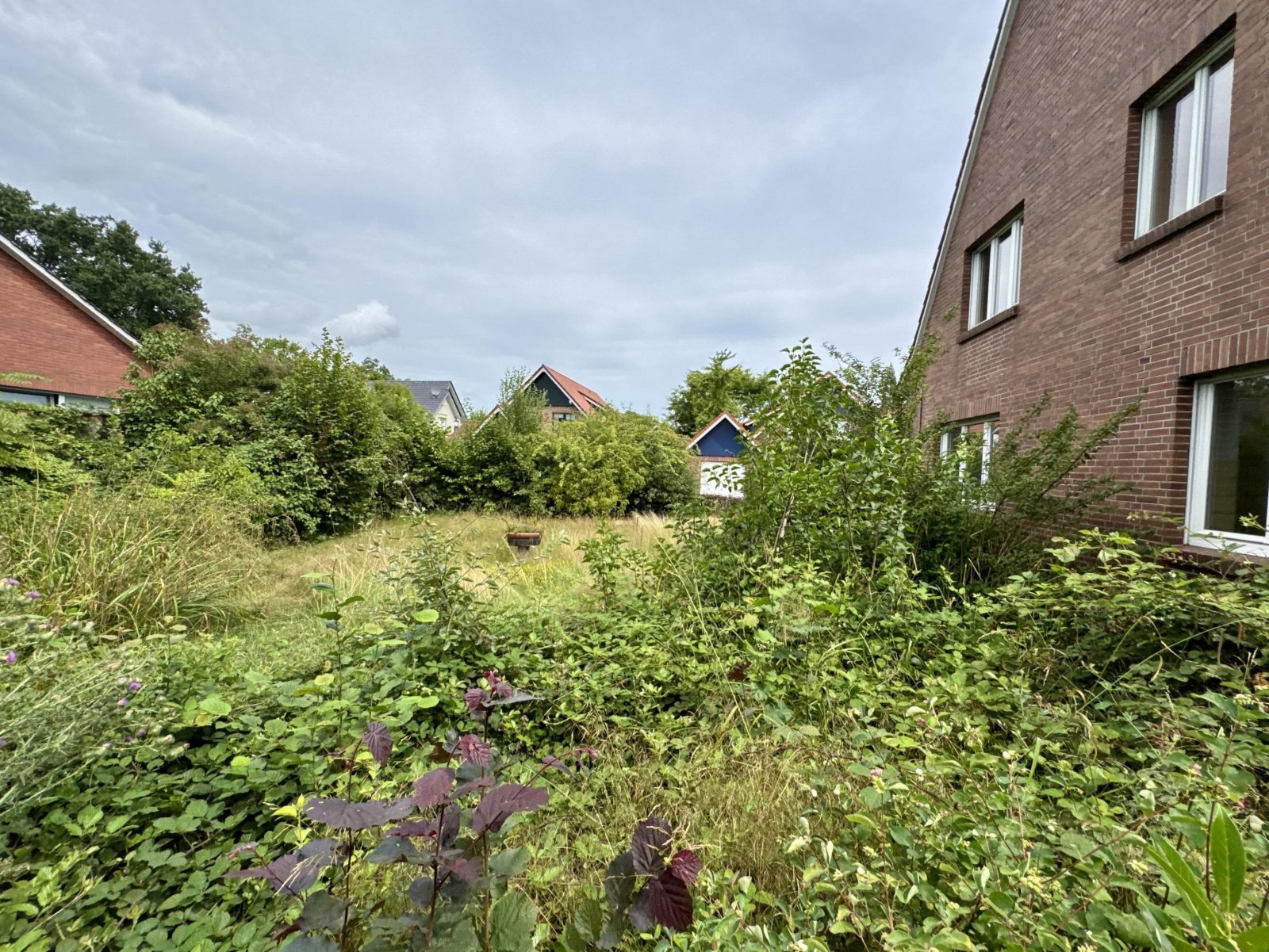 Garten (zugewachsen)