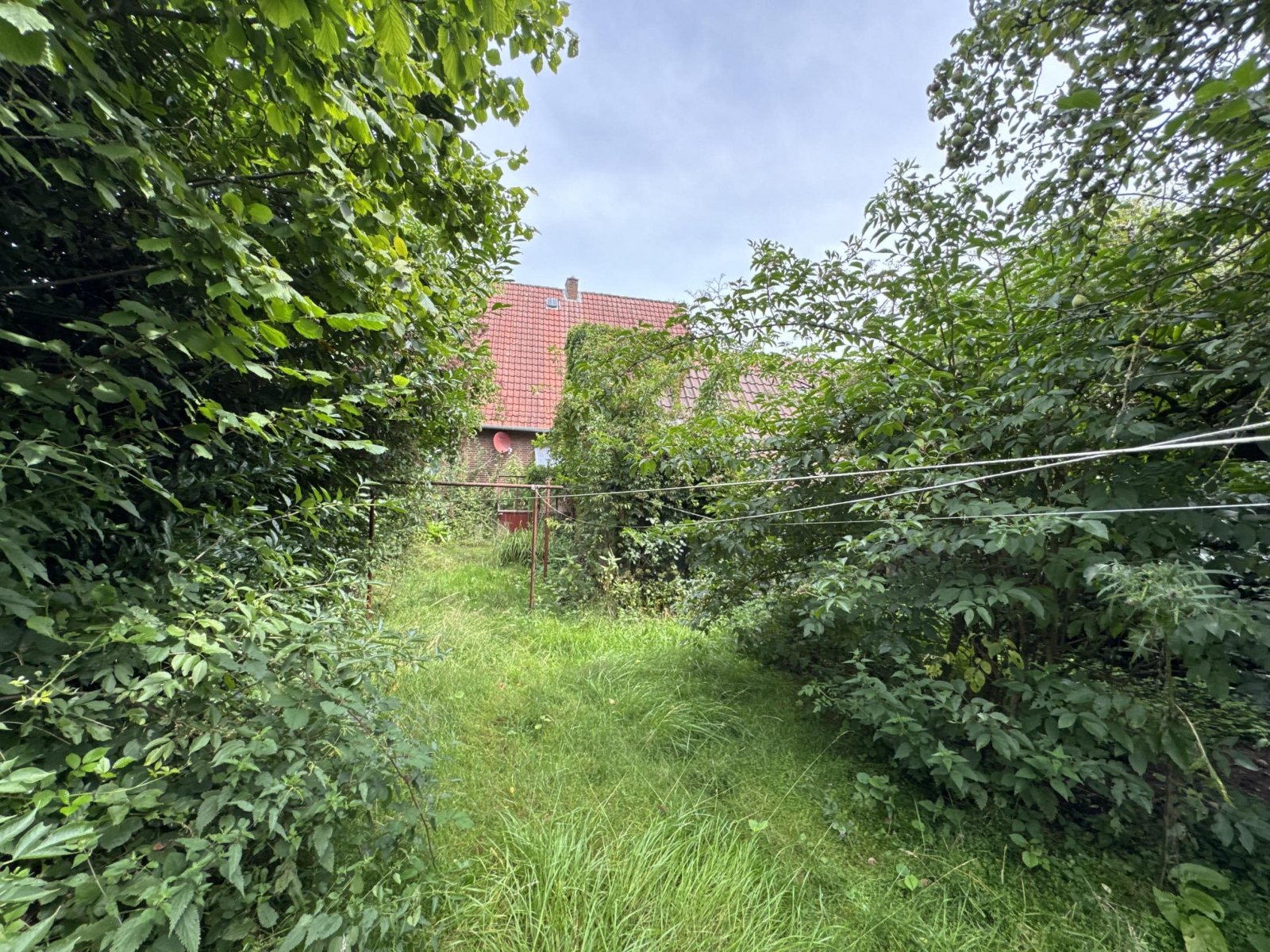 Garten (zugewachsen)