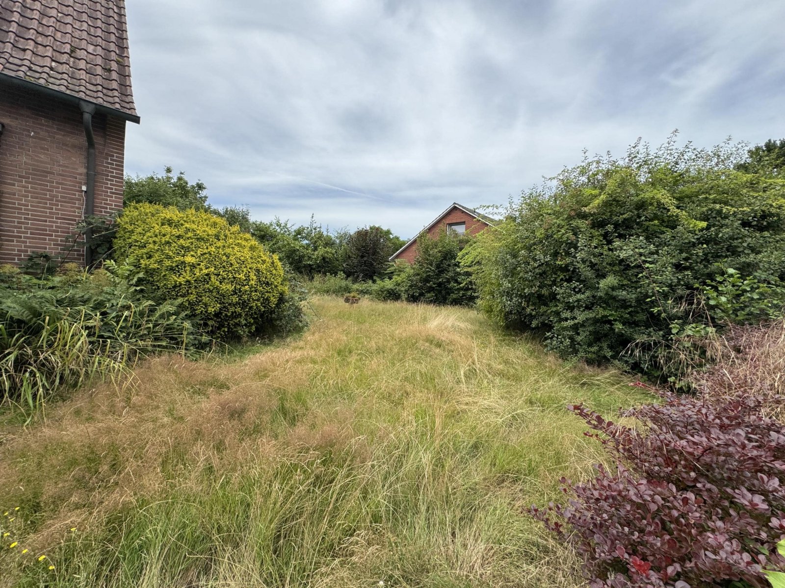 Garten (seitlich vom Haus)