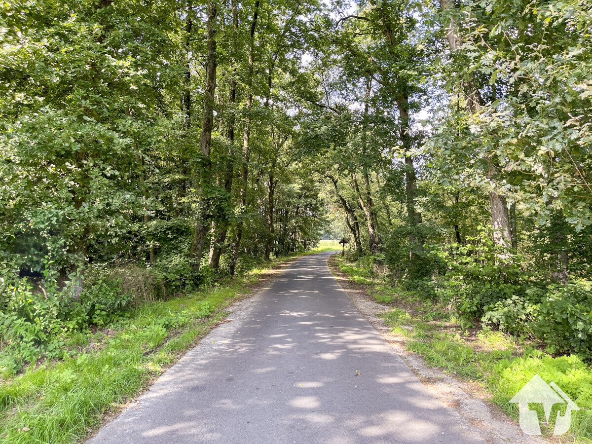 Umgebung