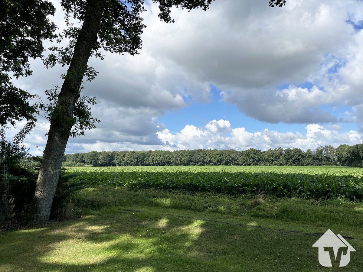 Feld