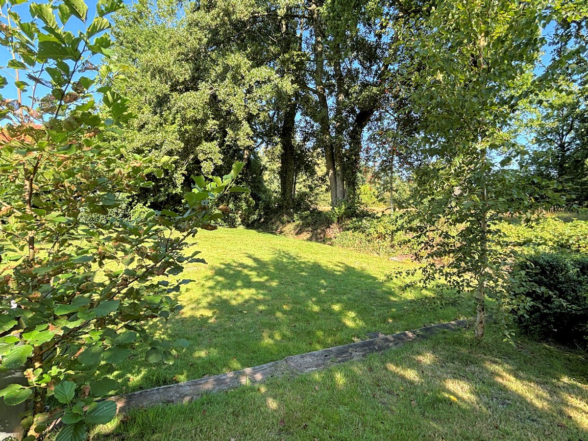 Blick in den Garten