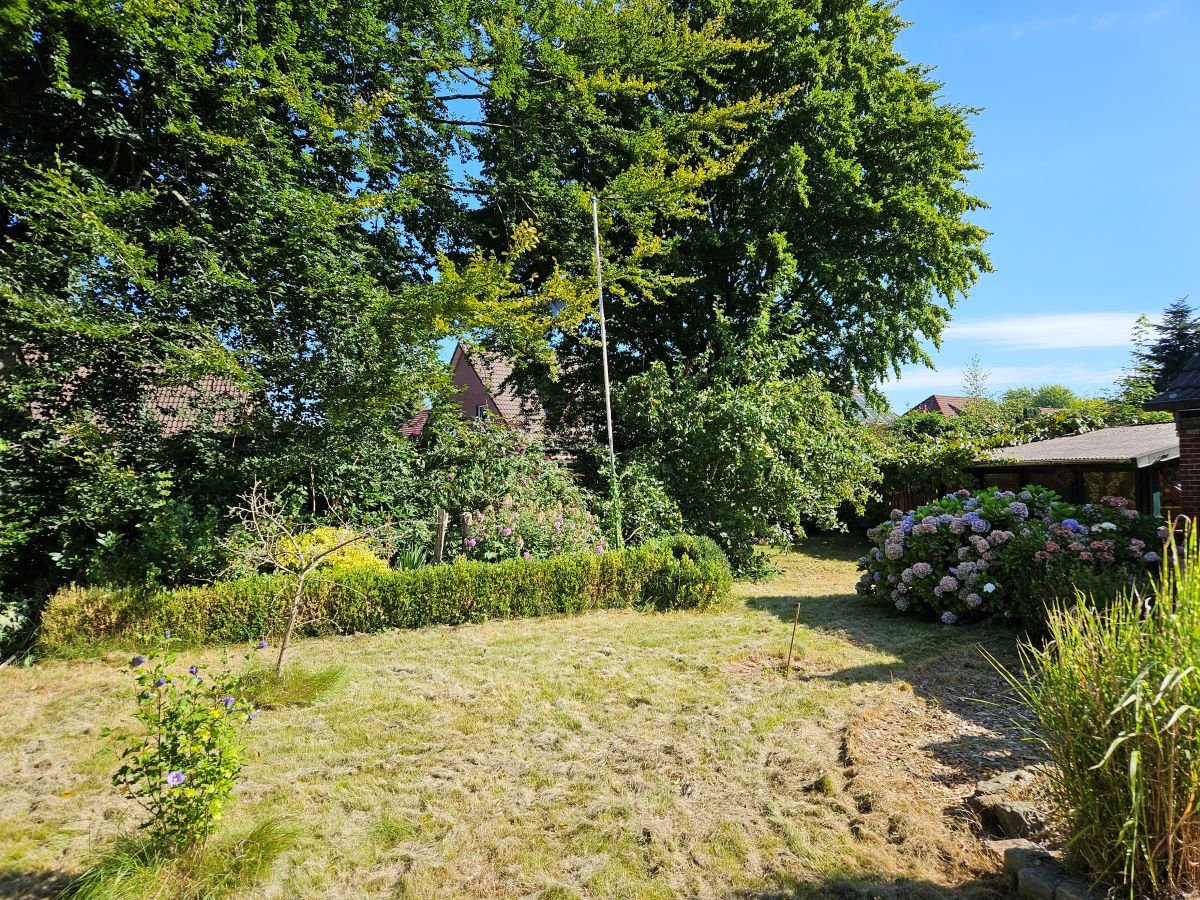 Blick in den Garten