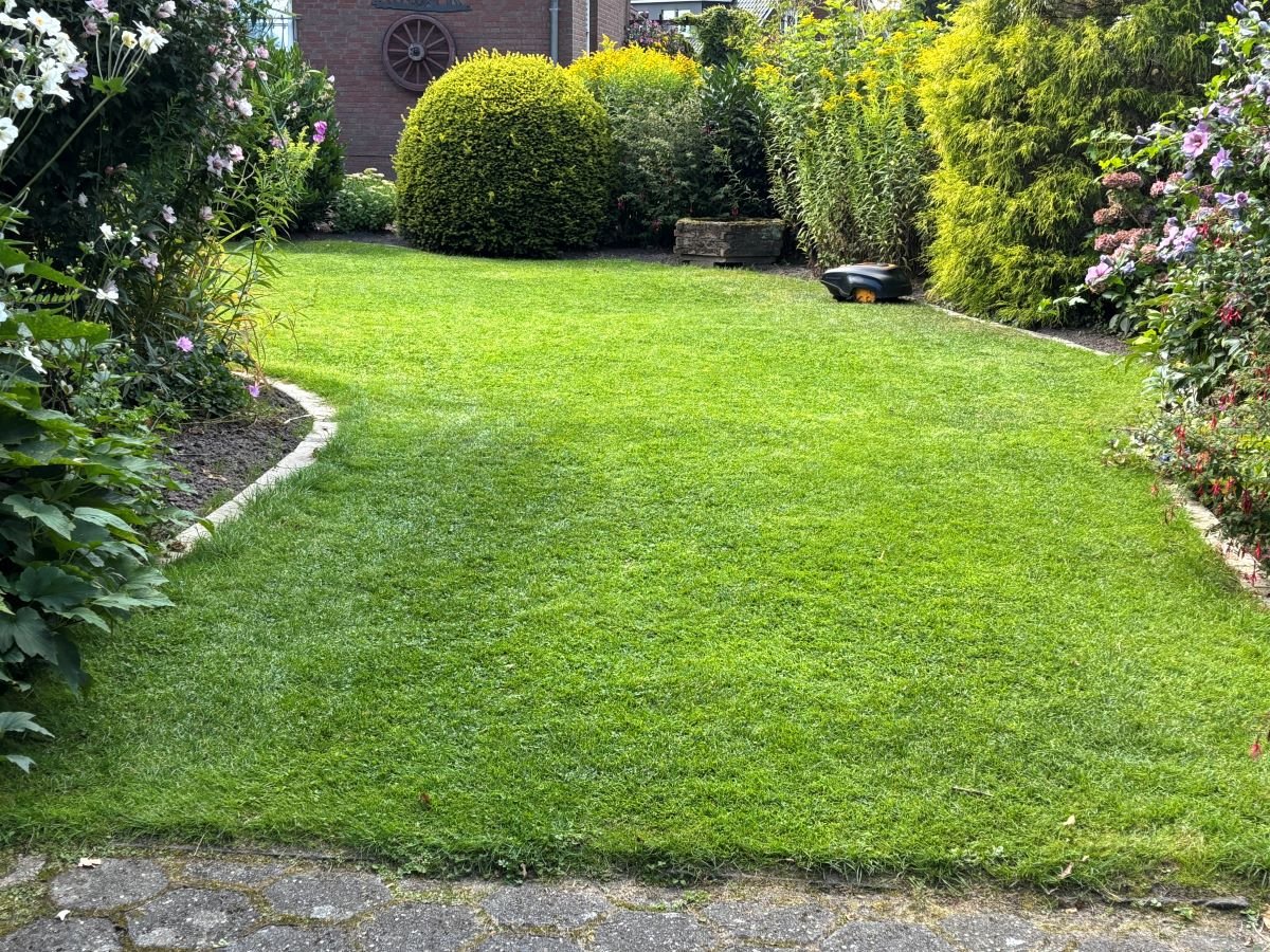 Vorgarten