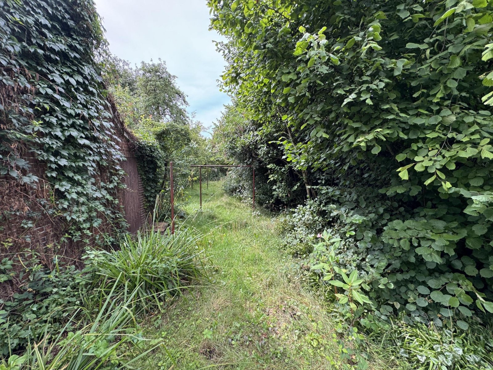 Garten (zugewachsen)