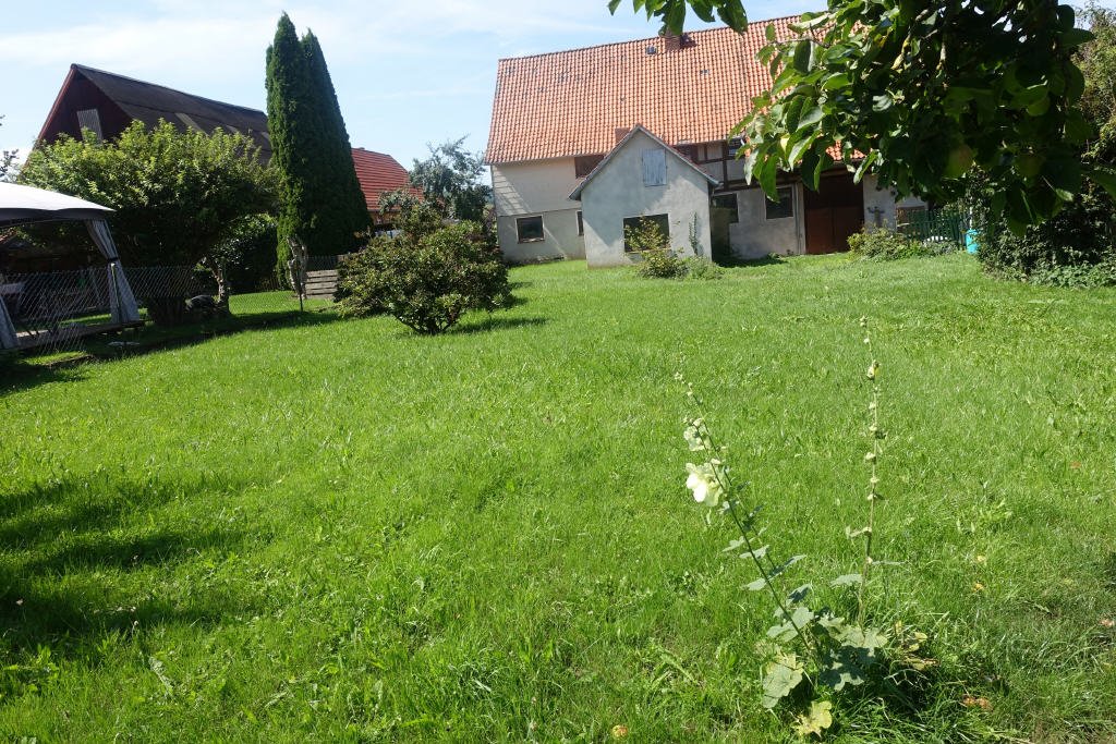 Bild13