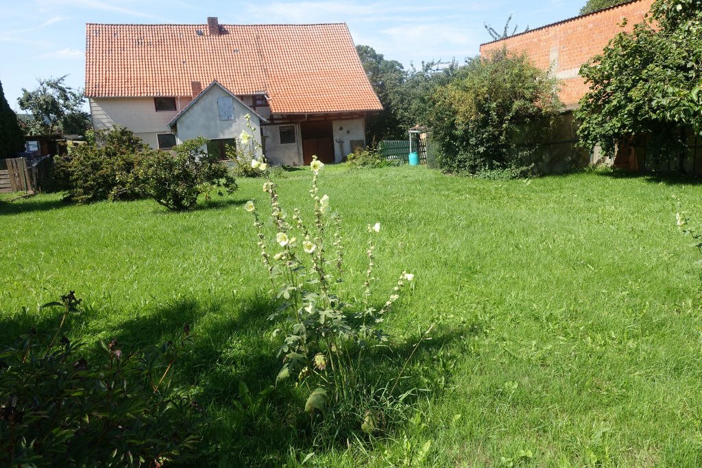 Bild16