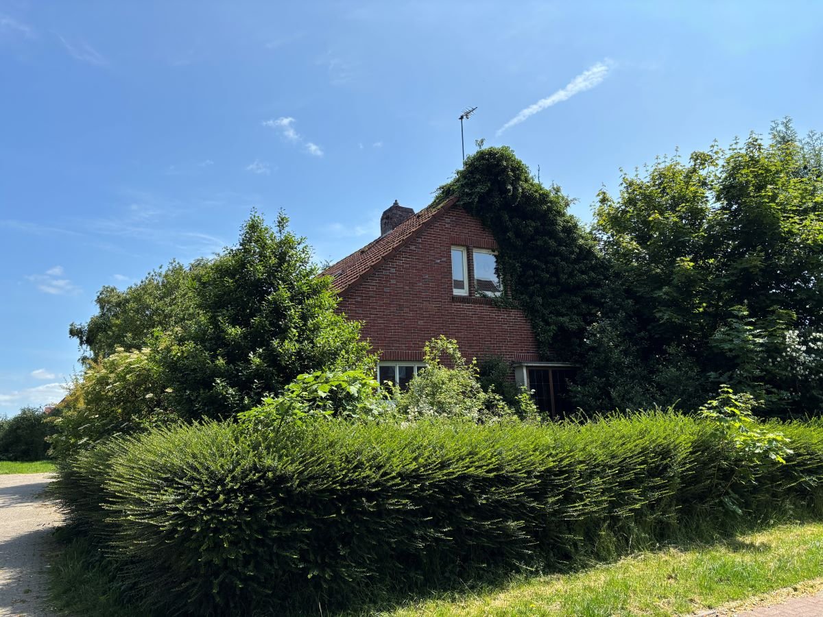 Frontansicht