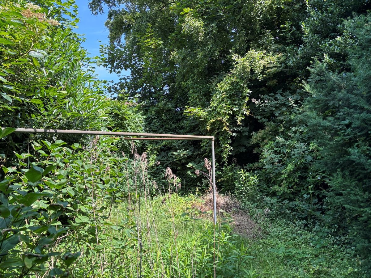 Garten 1