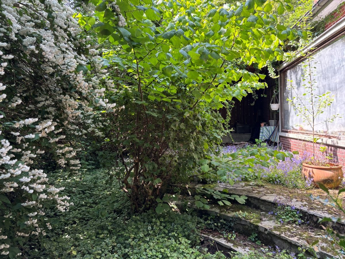 Garten 2