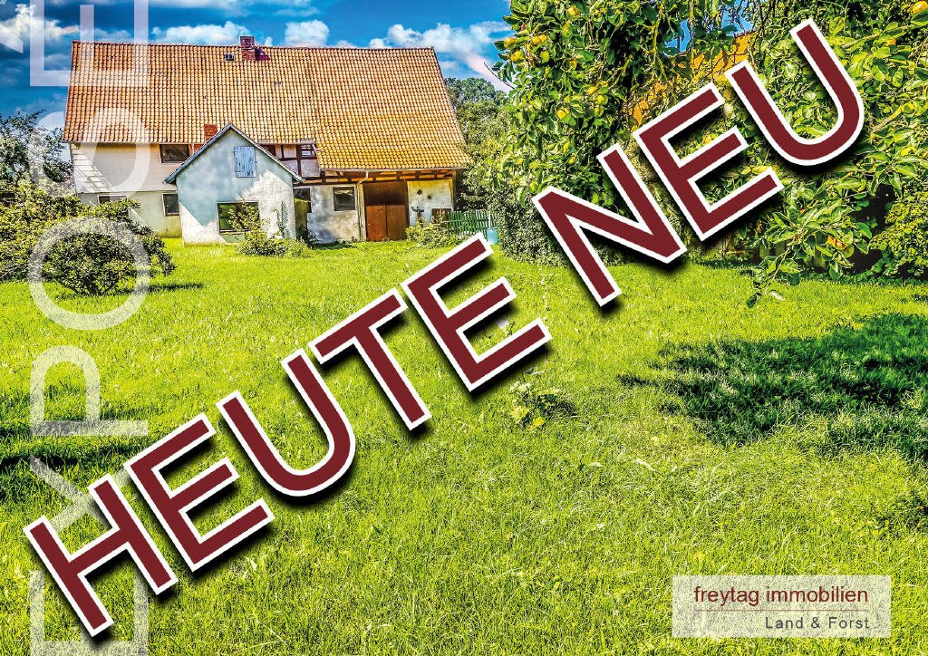 Bild1