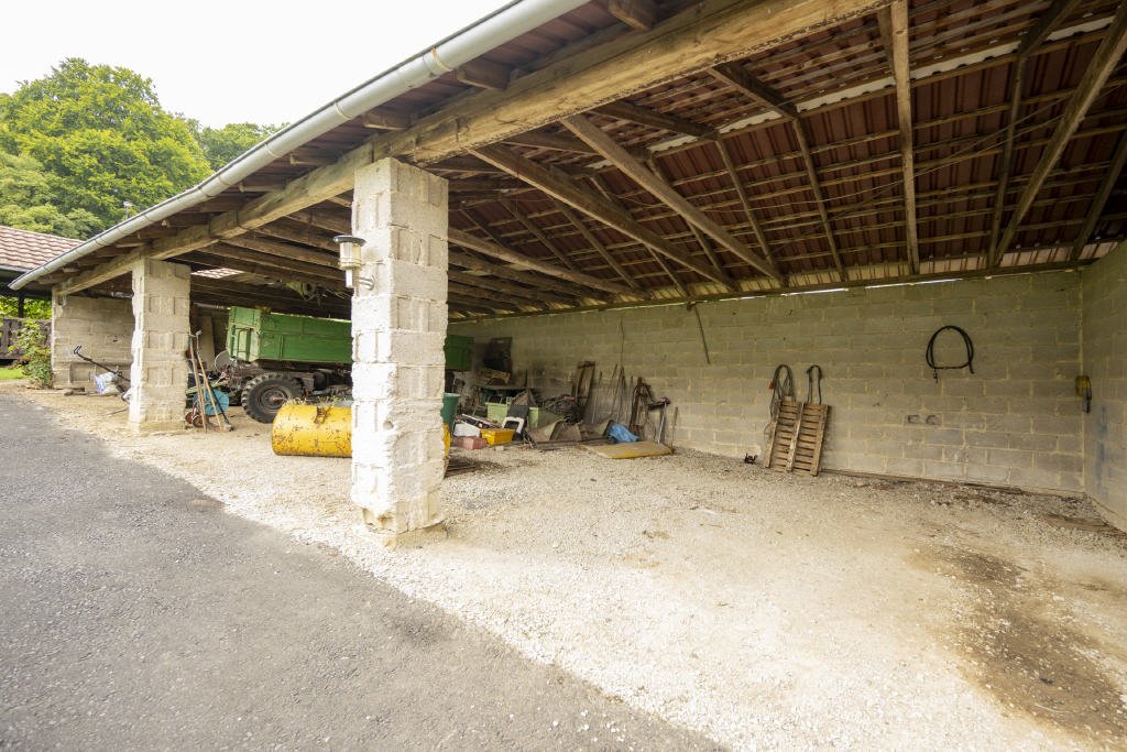 Bild12