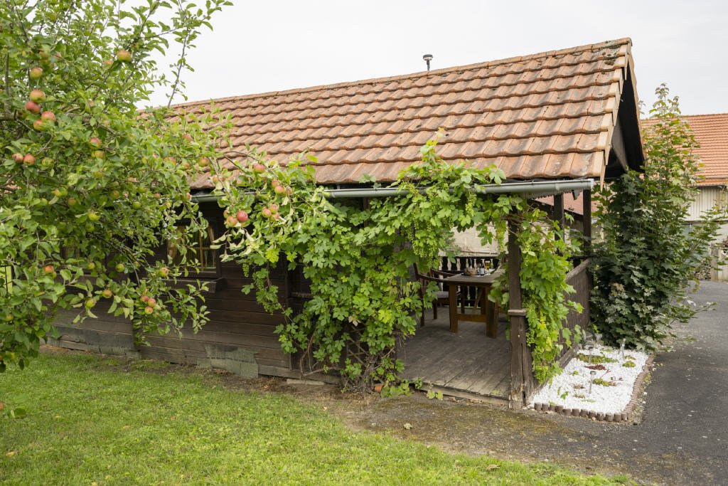 Bild15