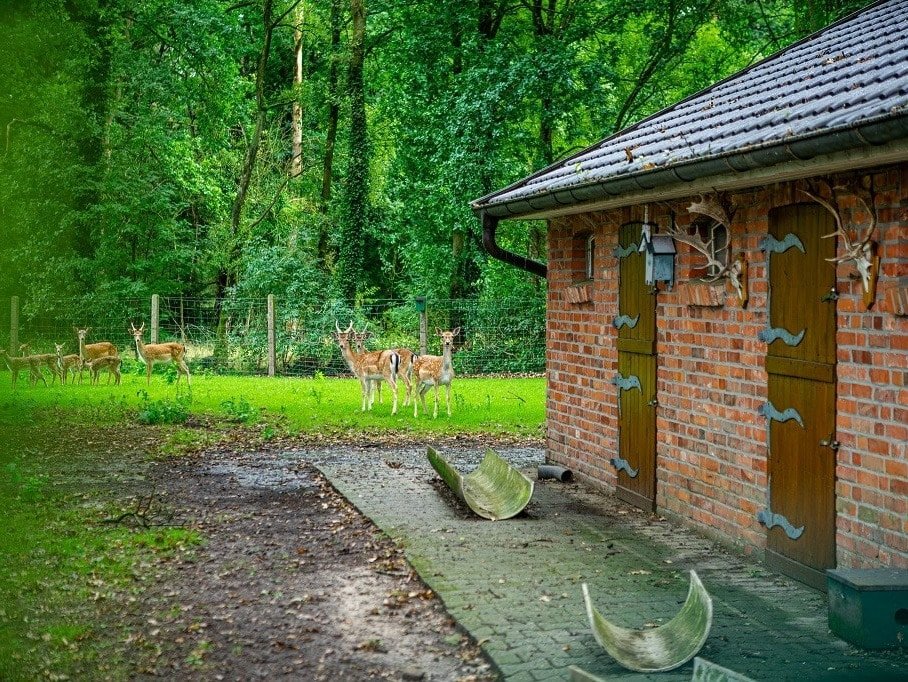 Scheune - Futterstelle  für das Dammwild